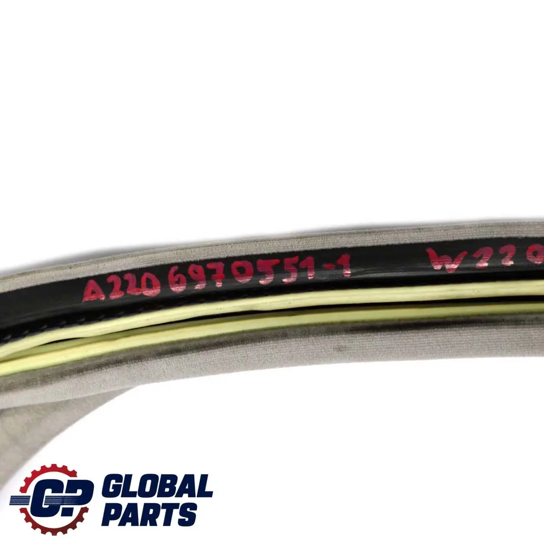  Mercedes-Benz S W220 Tür Vorne Hinten Links Türdichtung Grau - SKU A2206970551-1 - Teilenummer A2206970551