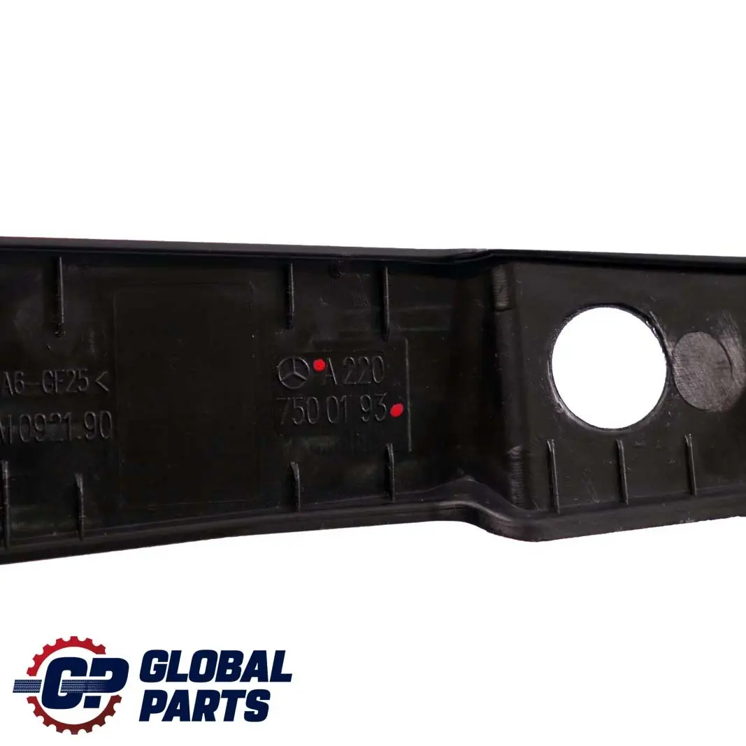  Mercedes-Benz Clase S W220 Embellecedor Tapa Maletero Porton Trasero - SKU A2207500193 - Número de pieza A2207500193