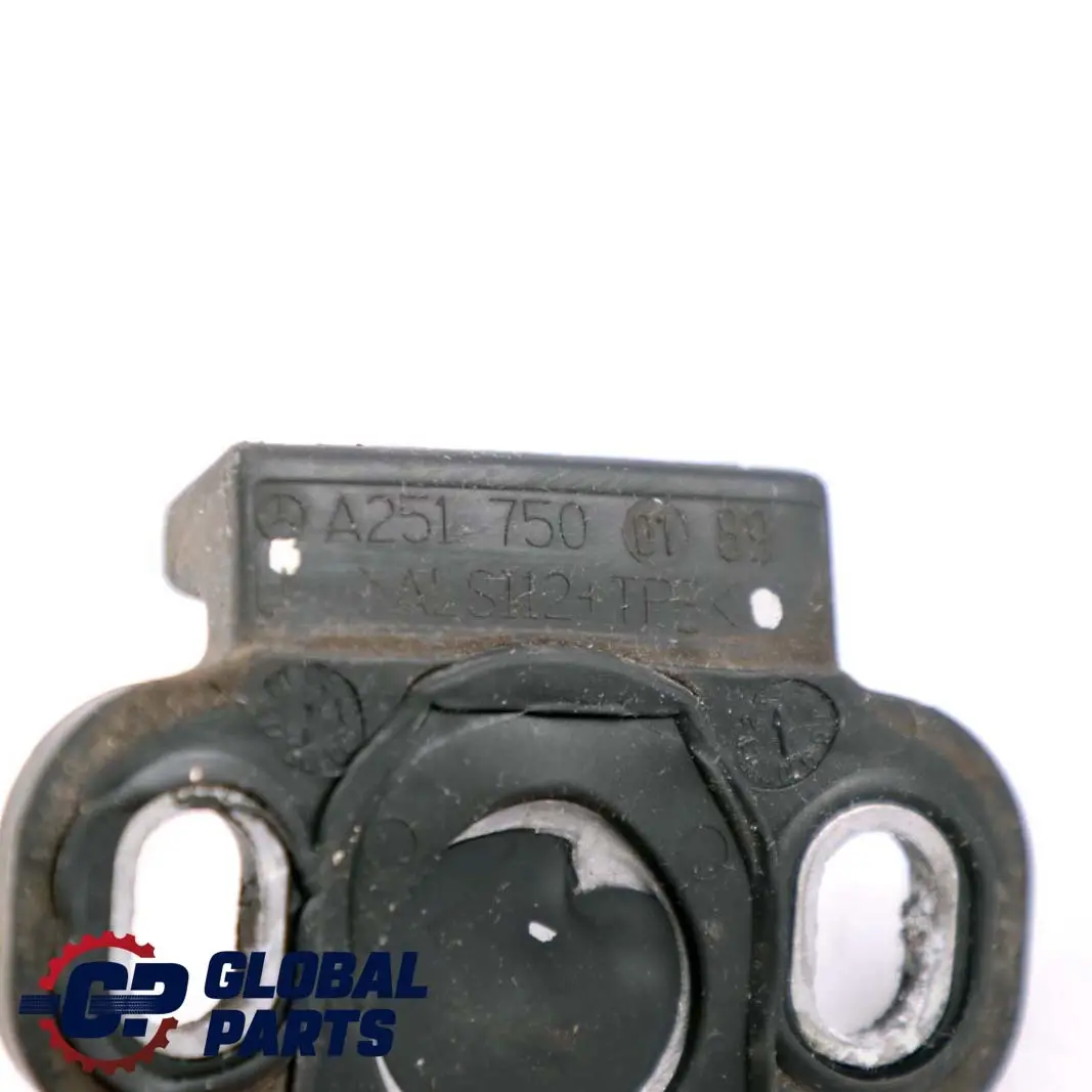  Mercedes-Benz M-Class ML W164 Door Stop Stopper Strap - SKU A2517500189 - Part number A2517500189