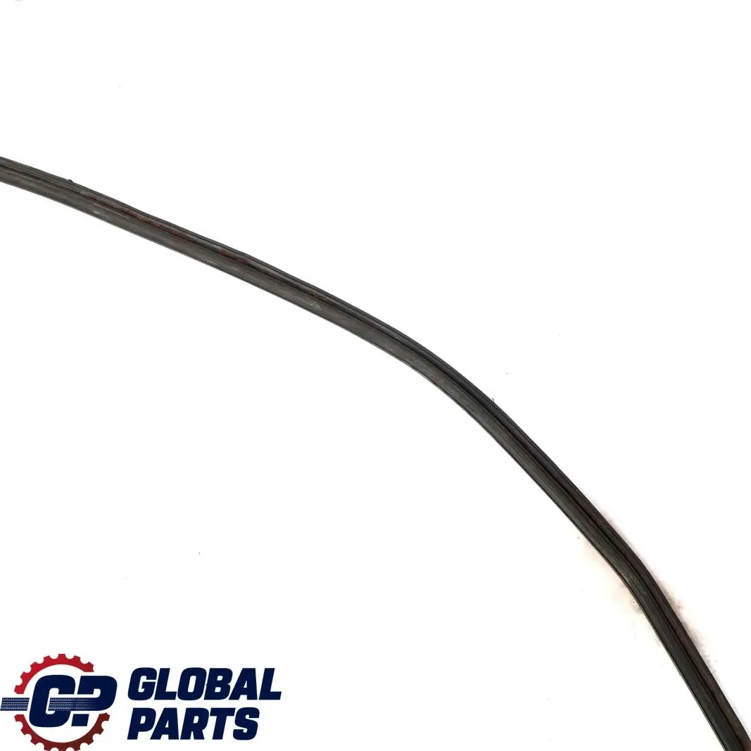 Left N/S Sliding Door Sealing Gasket Mercedes Vito W639 Rear - SKU A6396970198 - Part number A6396970198