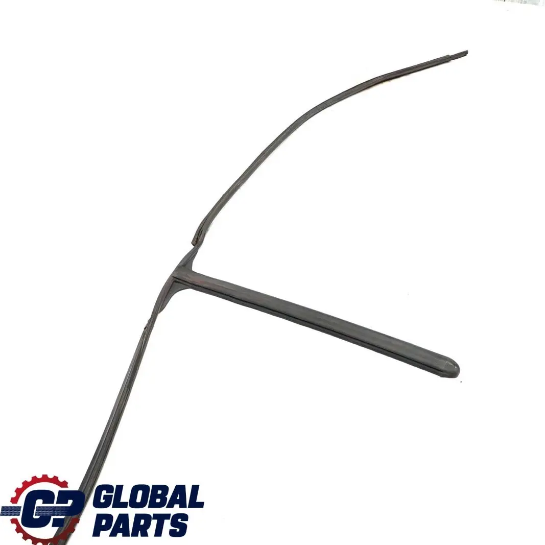 Mercedes W639 Guarnizione porta scorrevole posteriore sinistra - SKU A6396970198 - Numero di parte A6396970198