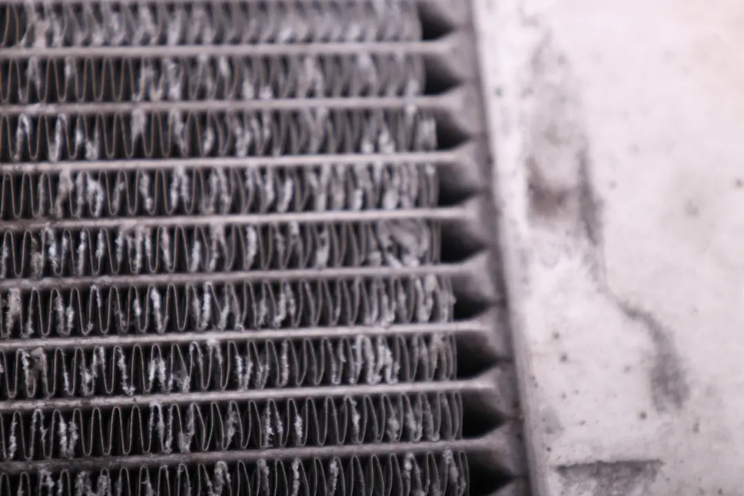 Enfriador Radiador Agua Refrigerante para BMW Serie 5 7 E60 E61 LCI E65 con número de pieza 7795138 BMW Serie 5 7 E60 E61 LCI E65 Enfriador Radiador Agua Refrigerante - SKU 7795138-1 - Número de pieza 7795138