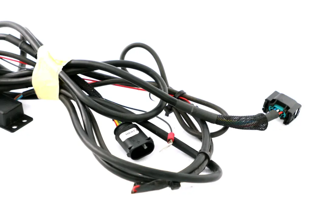 BMW Electric Left Foot Accelerator Control Box Module Switch Cables - SKU Jeff Gosling - Part number Jeff Gosling