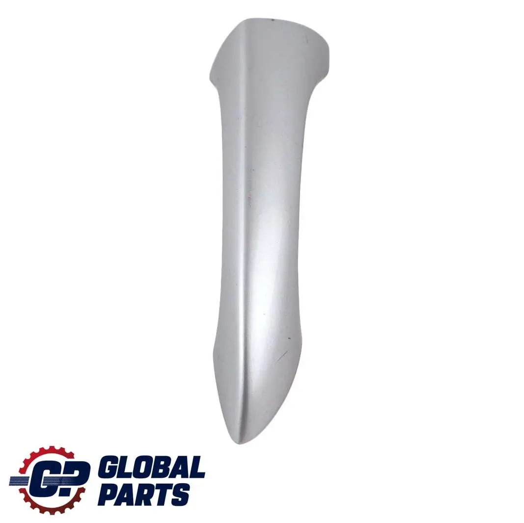 Griffbügel Vorne Hinten Rechts Titansilber Metallic 354 für BMW X5 er E53 mit Teilenummer 0007423 BMW X5 er E53 Griffbügel Vorne Hinten Rechts Titansilber Metallic 354 - SKU P0007423-TS - Teilenummer 0007423