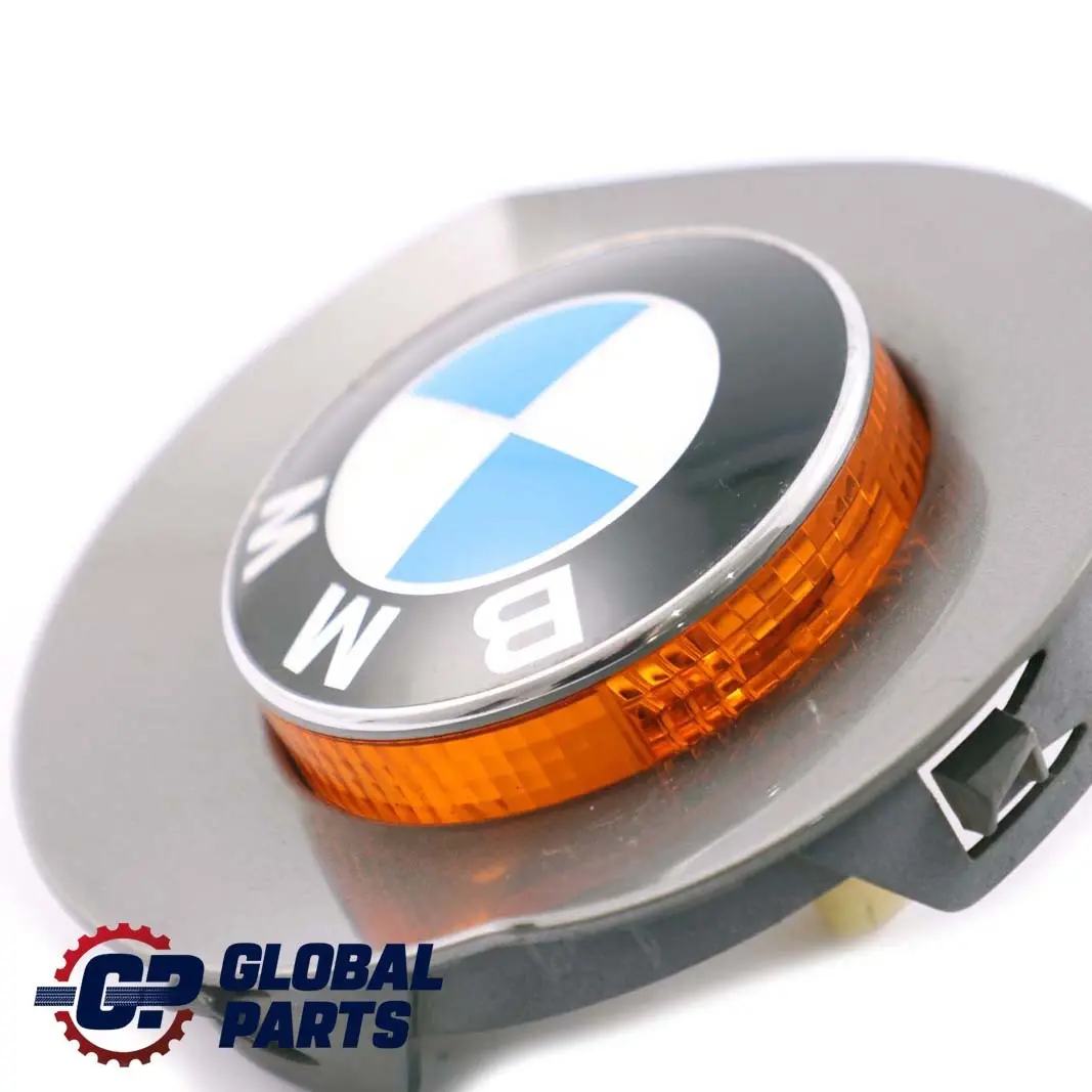 BMW Z4 Series E85 Cover Indicator Repeater Emblem Right O/S Sterlingrau Grey - SKU P0030962-STR - Part number 0030962