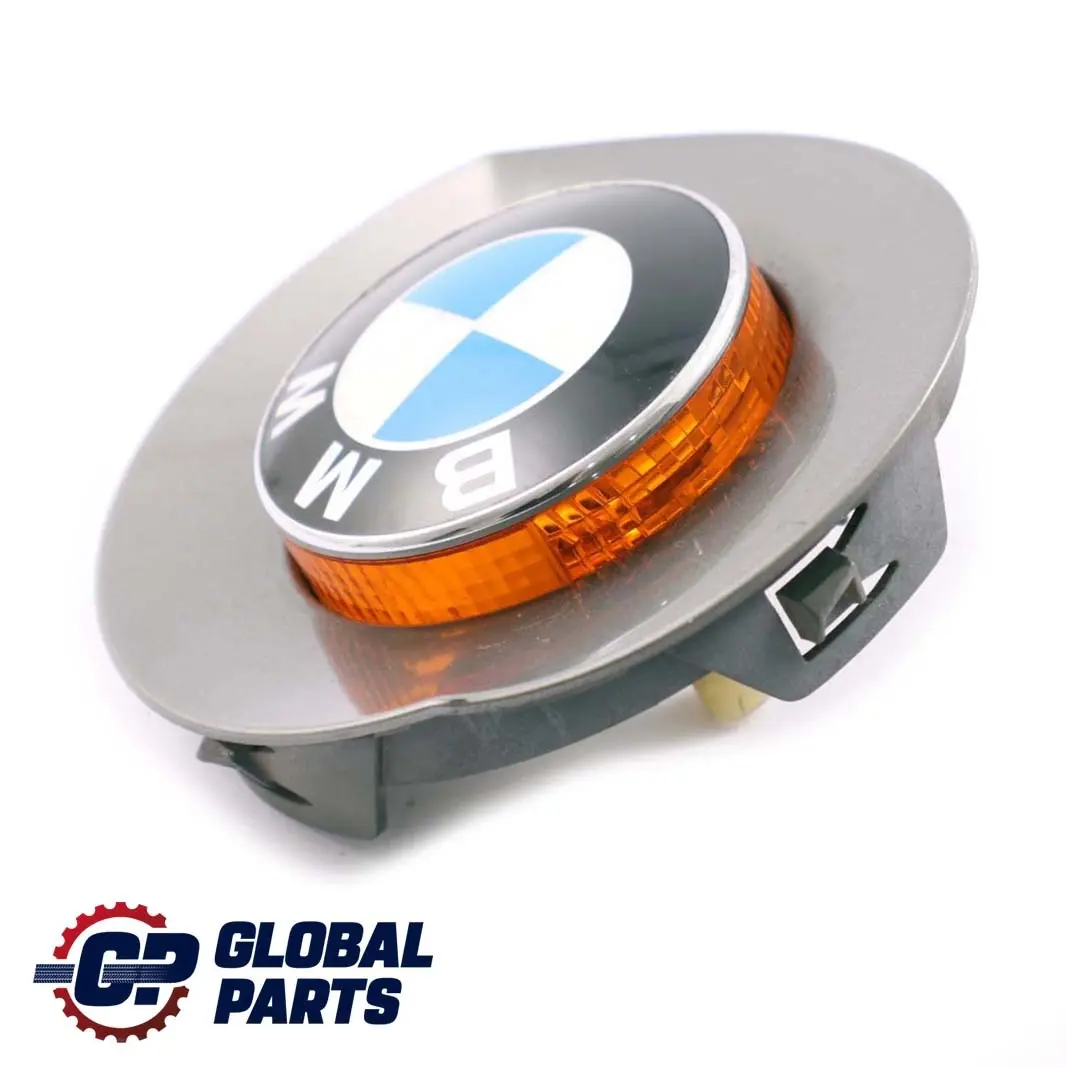 BMW Z4 Series E85 Cover Indicator Repeater Emblem Right O/S Sterlingrau Grey - SKU P0030962-STR - Part number 0030962