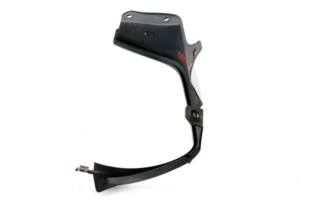 BMW Z4 Series E85 Frame Cover Light Rear Left N/S Monacoblau Metallic Blue - SKU P0031017-MB - Part number 0031017