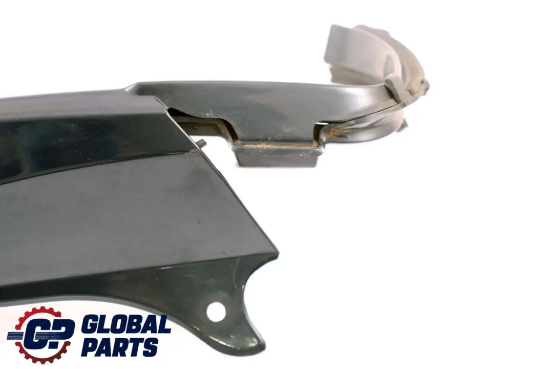 BMW Z4 Series E85 Frame Cover Light Rear Left N/S Toledoblau Toledo Blue 482 - SKU P0031017-TDB - Part number 0031017