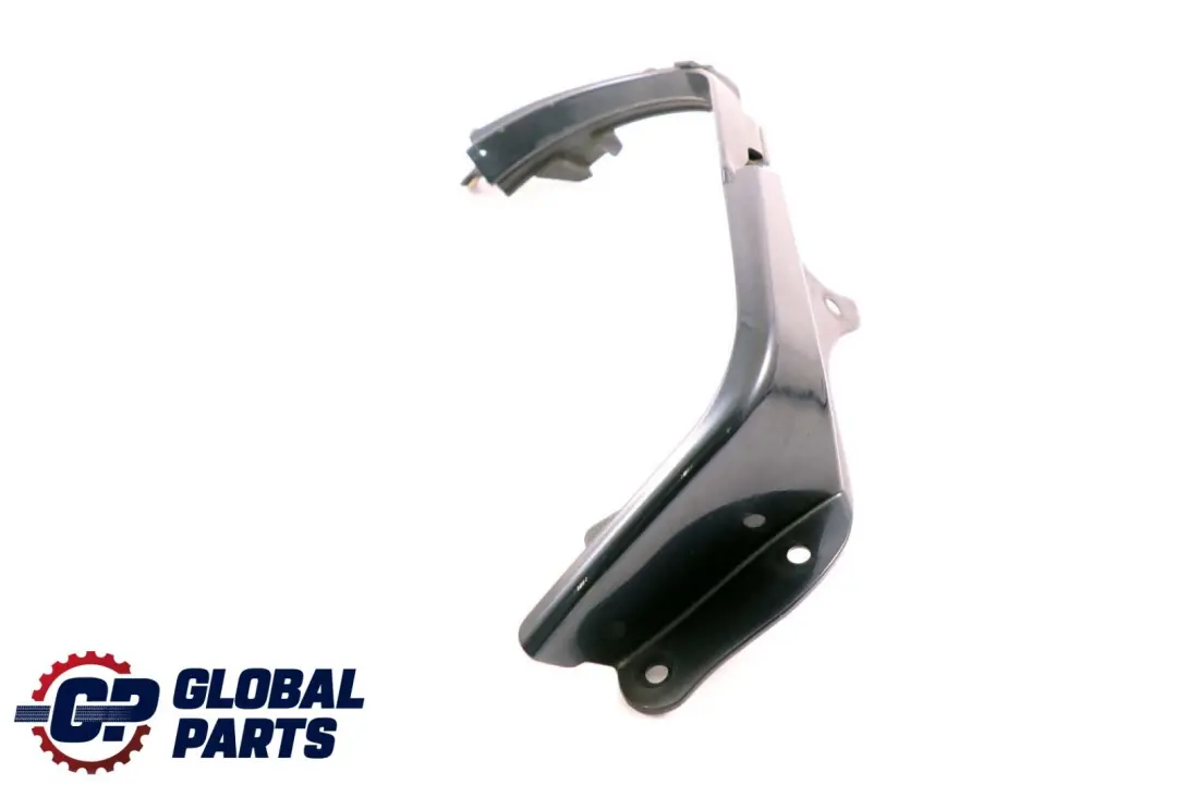 BMW Z4 Series E85 Frame Cover Light Rear Left N/S Toledoblau Toledo Blue 482 - SKU P0031017-TDB - Part number 0031017