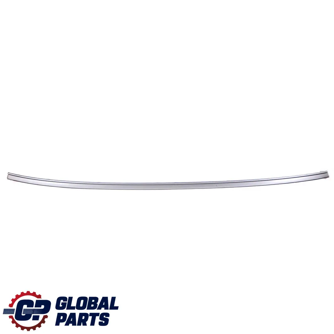 BMW E60 Roof Moulding Railing Gutter Left N/S Silver Grey - A08 0031141