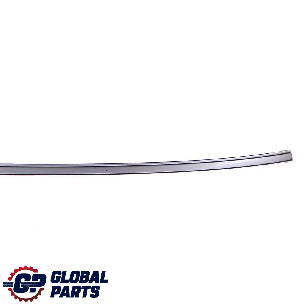 BMW E60 Modanatura Tetto Grondaia Sinistra Grigio Argento - A08 - SKU P0031141-SBG - Numero di parte 0031141