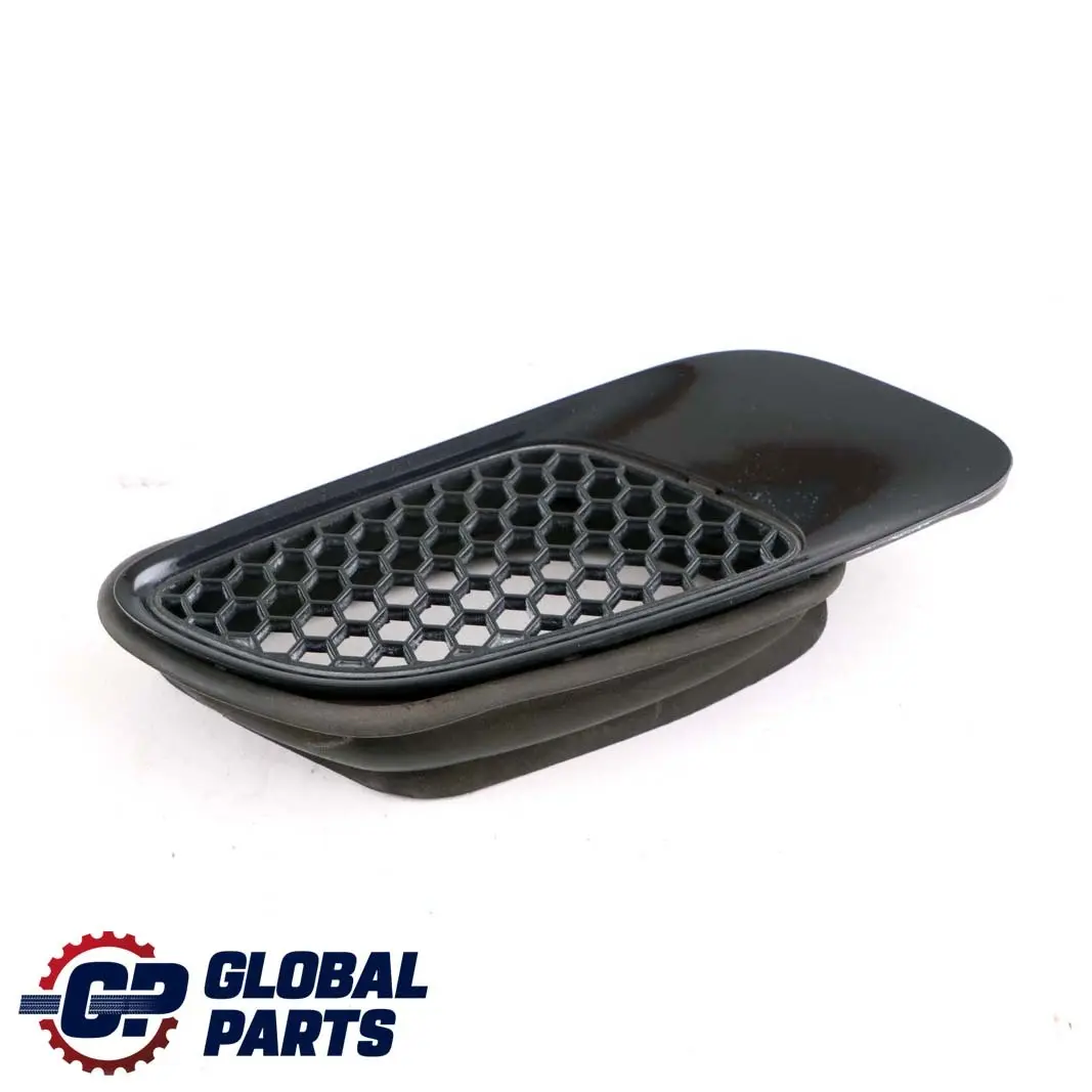 BMW 3 er E90 E92 E93 M3 Vorne Links Rahmen Ziergitter Jerezschwarz A73 8042977 - SKU P0036359-JEREZ - Teilenummer 0036359
