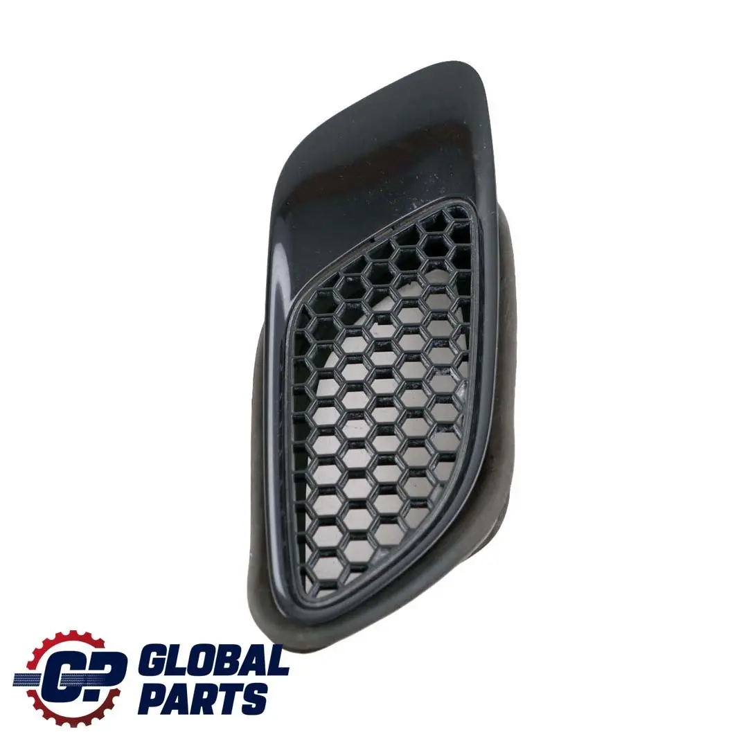BMW 3 er E90 E92 E93 M3 Vorne Links Rahmen Ziergitter Jerezschwarz A73 8042977 - SKU P0036359-JEREZ - Teilenummer 0036359