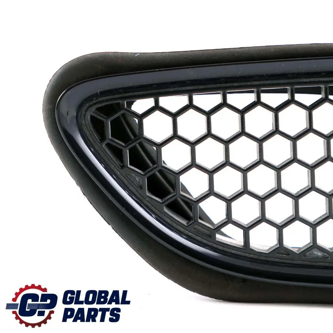 BMW 3 er E90 E92 E93 M3 Vorne Links Rahmen Ziergitter Jerezschwarz A73 8042977 - SKU P0036359-JEREZ - Teilenummer 0036359
