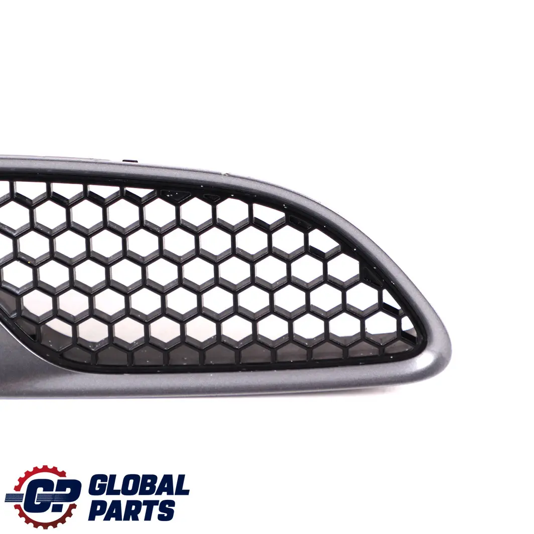 BMW 3 er E90 E92 E93 M3 Vorne Links Rahmen Ziergitter Spacegrau A52 8042977 - SKU P0036359-SCG - Teilenummer 0036359