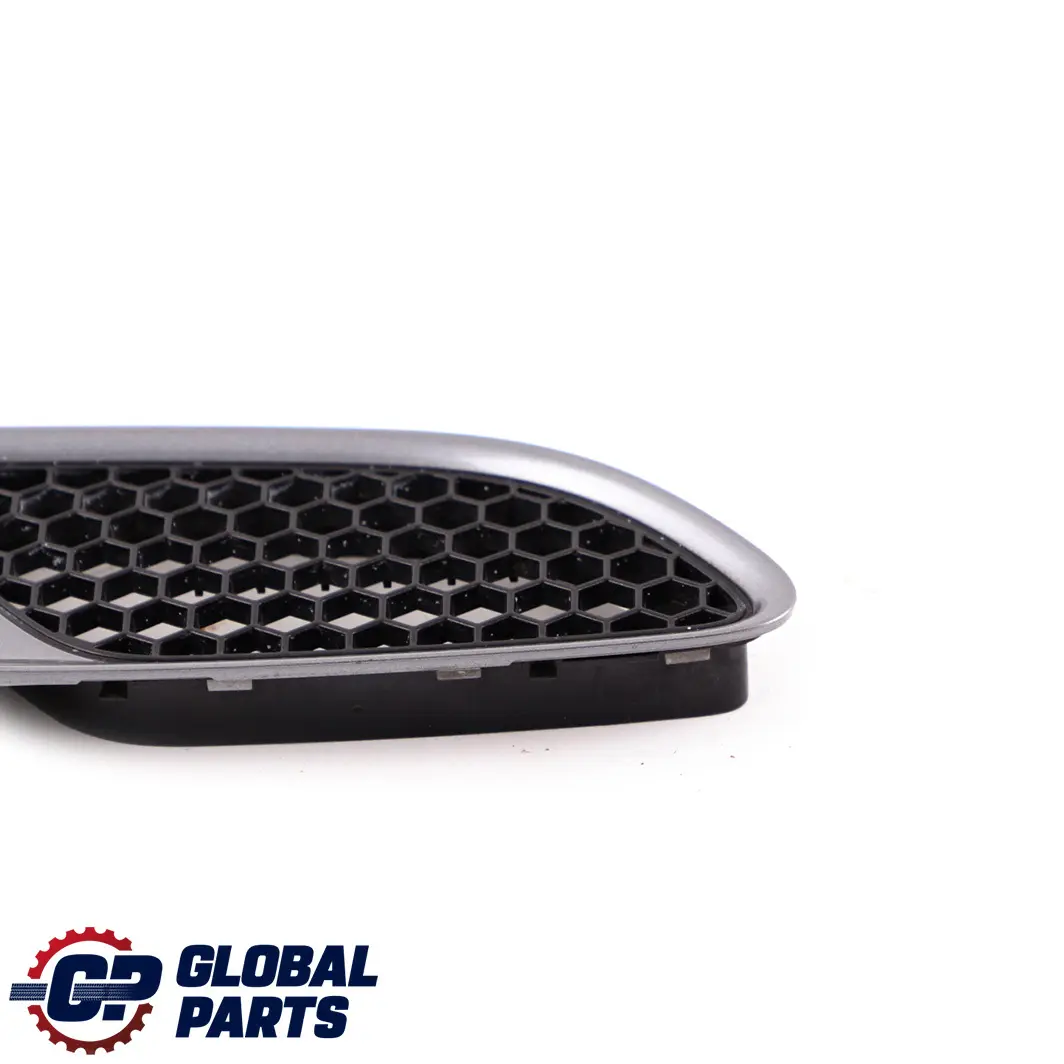 BMW 3 er E90 E92 E93 M3 Vorne Links Rahmen Ziergitter Spacegrau A52 8042977 - SKU P0036359-SCG - Teilenummer 0036359