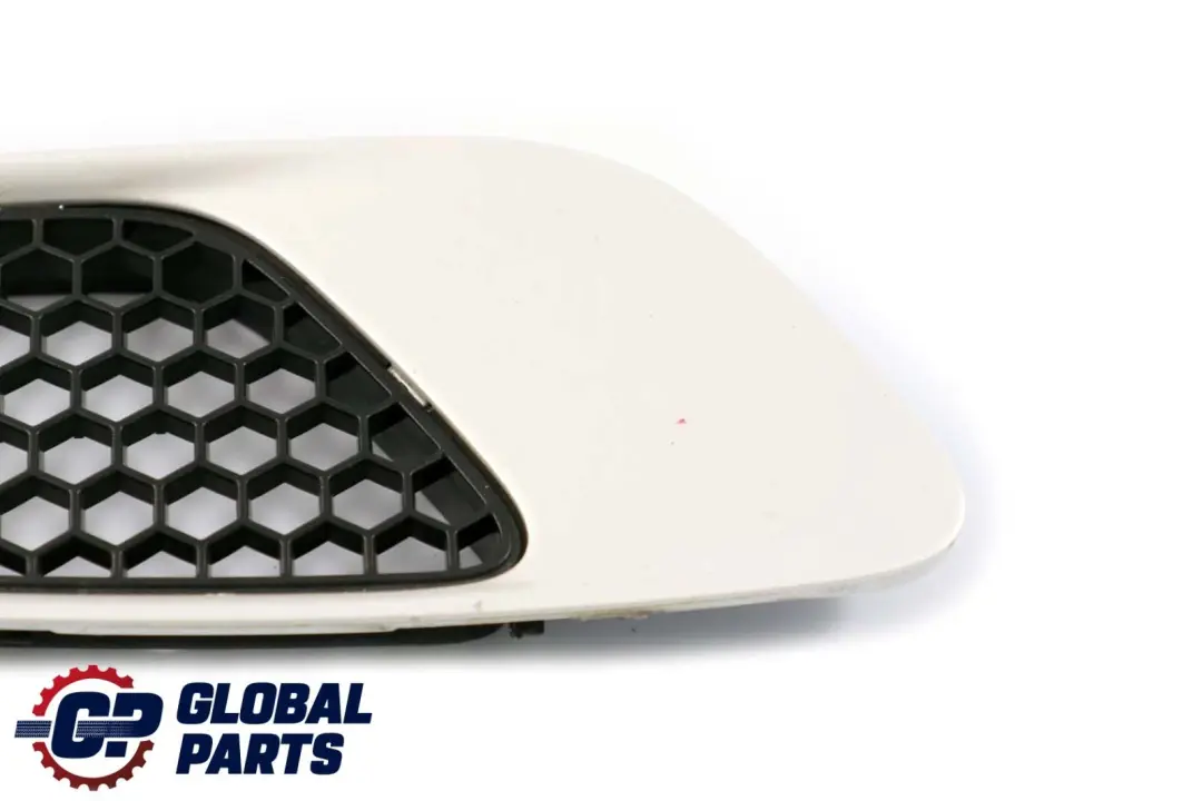 Front Trim Left N/S Frame Grille Hood White Gold to BMW 3 Series E90 E92 M3 with Part number 0036359 BMW 3 Series E90 E92 M3 Front Trim Left N/S Frame Grille Hood White Gold - SKU P0036359-WG - Part number 0036359