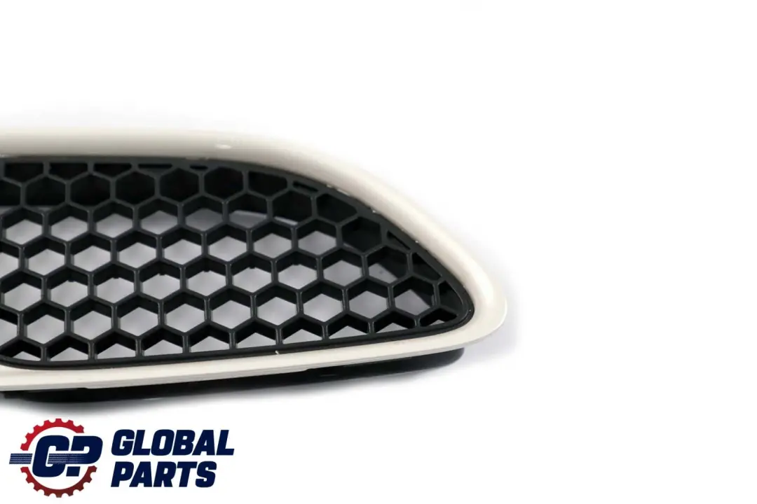 Front Trim Left N/S Frame Grille Hood White Gold to BMW 3 Series E90 E92 M3 with Part number 0036359 BMW 3 Series E90 E92 M3 Front Trim Left N/S Frame Grille Hood White Gold - SKU P0036359-WG - Part number 0036359