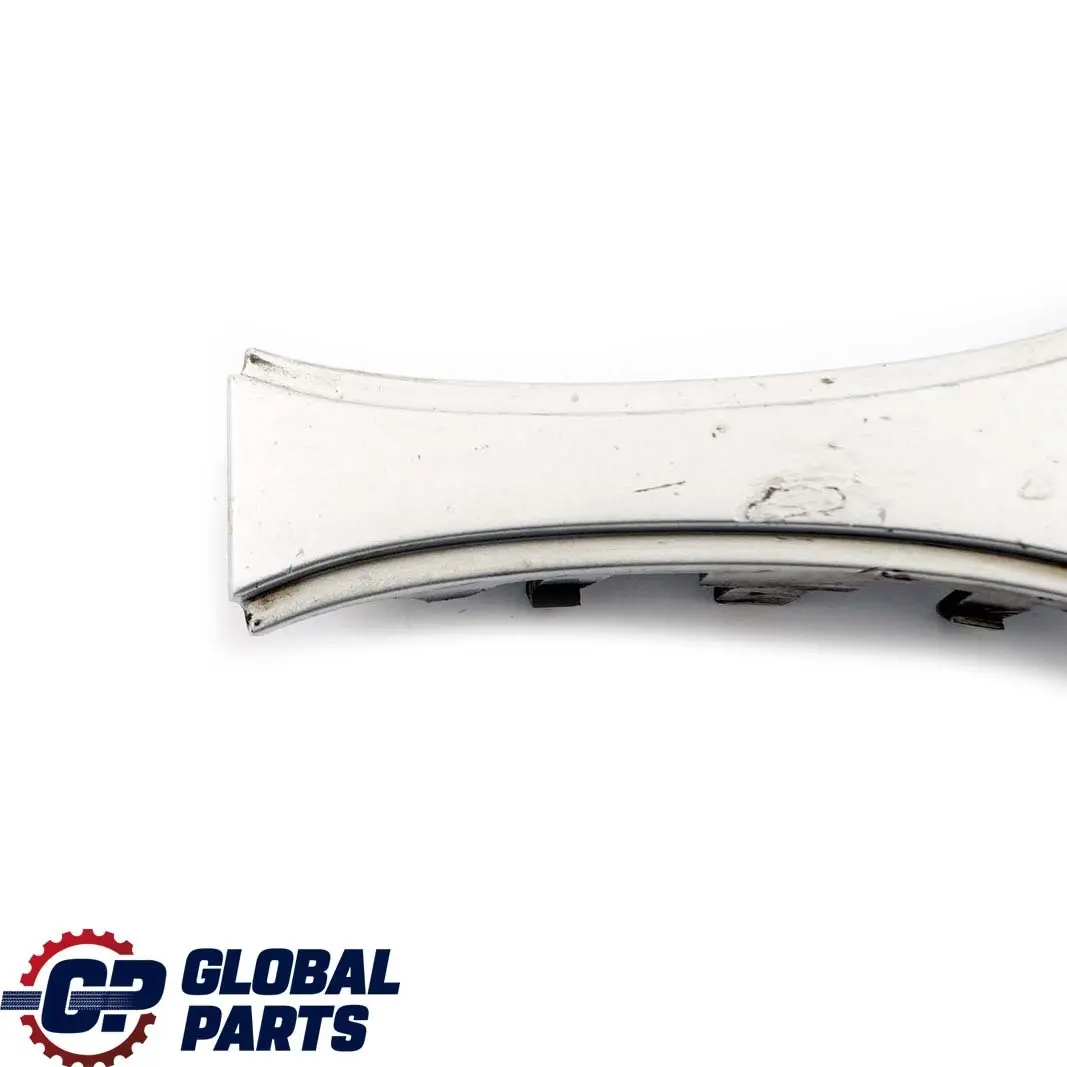 BMW E65 Griglia Ornamentale Fronte Argento-Titanio Metallico 354 - SKU P0136987-TS1 - Numero di parte 7019029