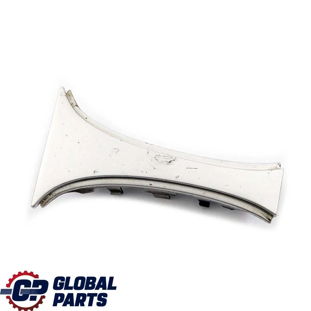 BMW E65 Griglia Ornamentale Fronte Argento-Titanio Metallico 354 - SKU P0136987-TS1 - Numero di parte 7019029