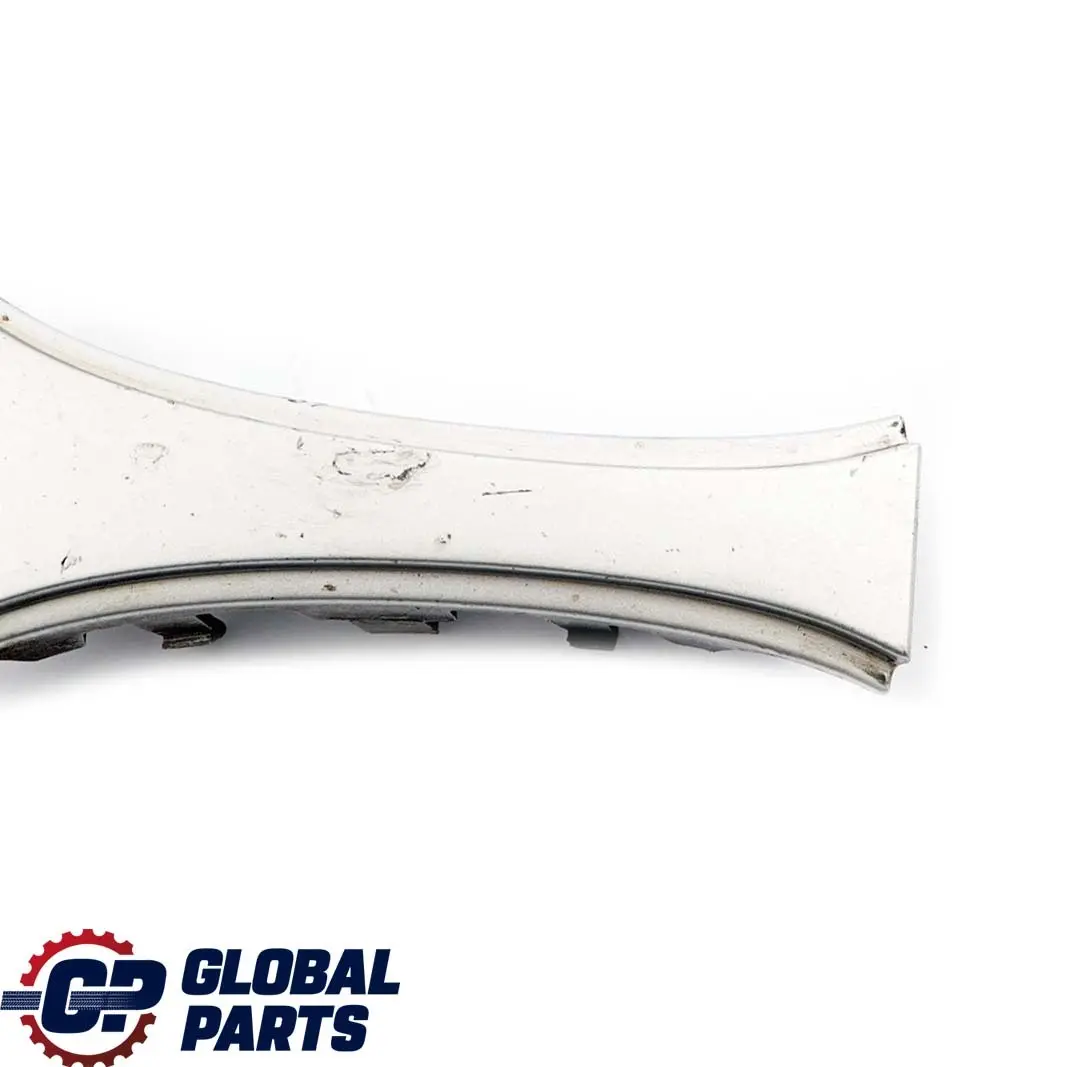 BMW 7 er E65 Ziergitter Front Titansilber Metallic 354 - SKU P0136987-TS1 - Teilenummer 7019029