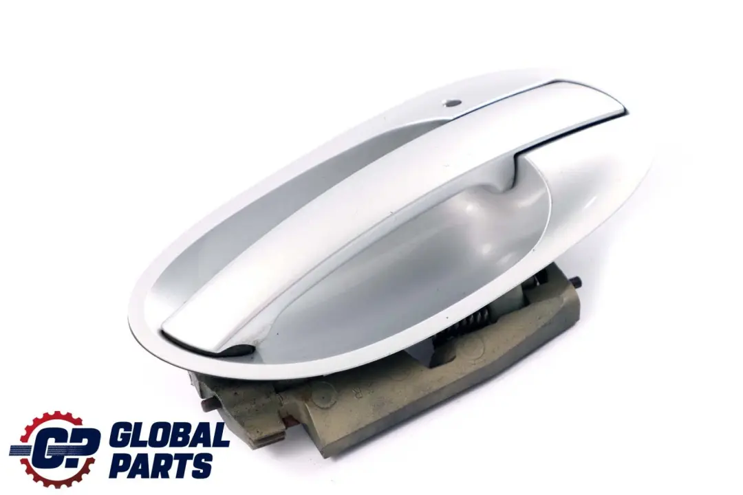 BMW 7 Series E65 E66 Complete Rear Right Grab Handle O/S Titansilber Silver - SKU P0140536-TS - Part number 0140536