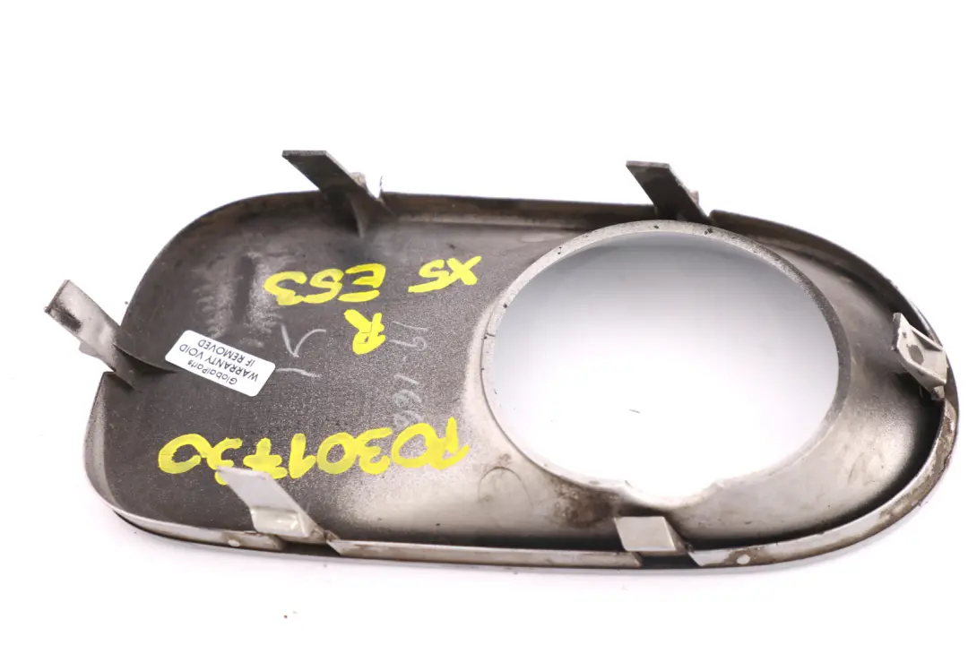 Blende Nebelscheinwerfer rechts Titansilber Metallic für BMW X5 er E53 mit Teilenummer 0301730 BMW X5 er E53 Blende Nebelscheinwerfer rechts Titansilber Metallic - SKU P0301730 - Teilenummer 0301730