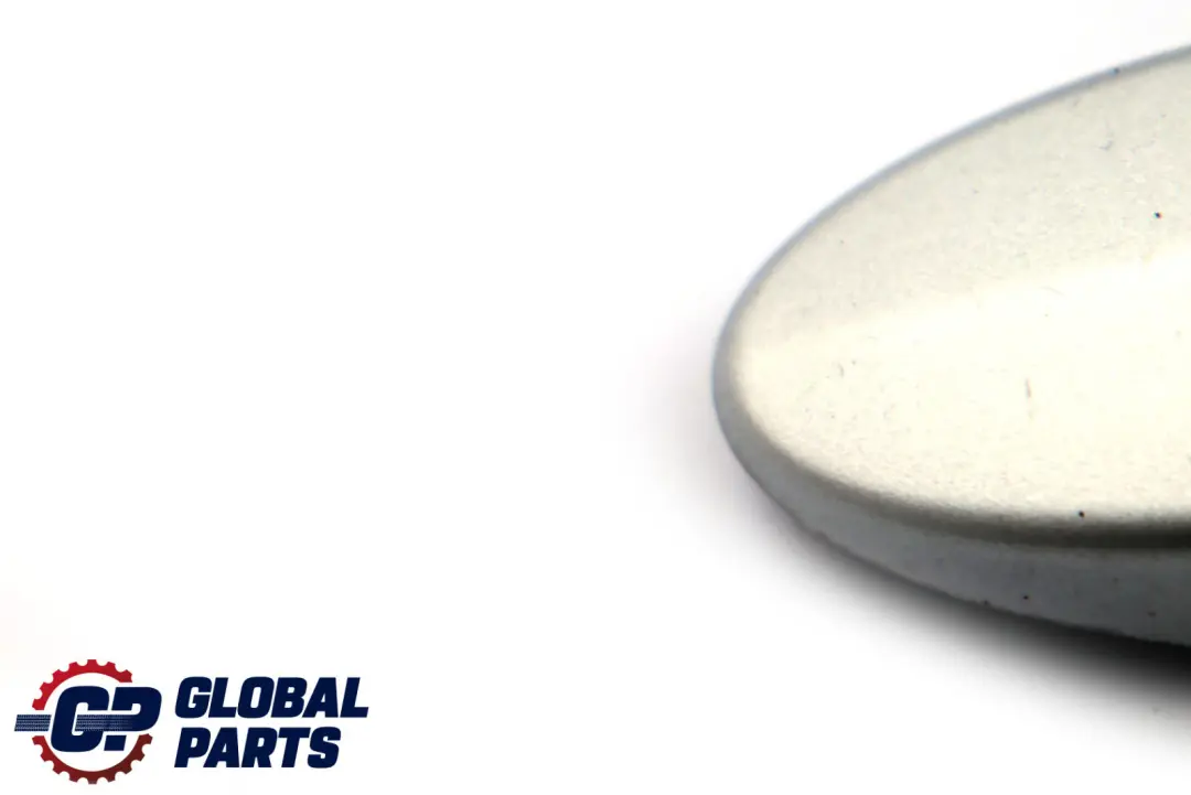 BMW X3 E83 Vorne Hinten Links Türgriffkappe Abdeckung Titansilber Silber - SKU P0303023-TS - Teilenummer 0303023