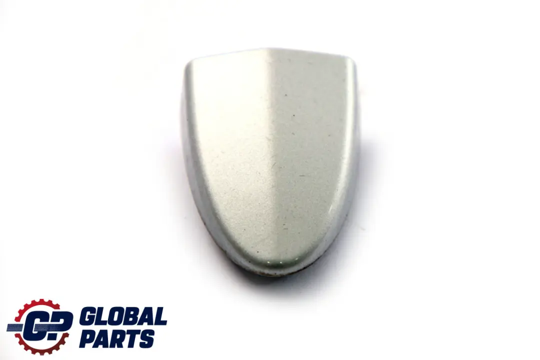 BMW X3 E83 Vorne Hinten Links Türgriffkappe Abdeckung Titansilber Silber - SKU P0303023-TS - Teilenummer 0303023