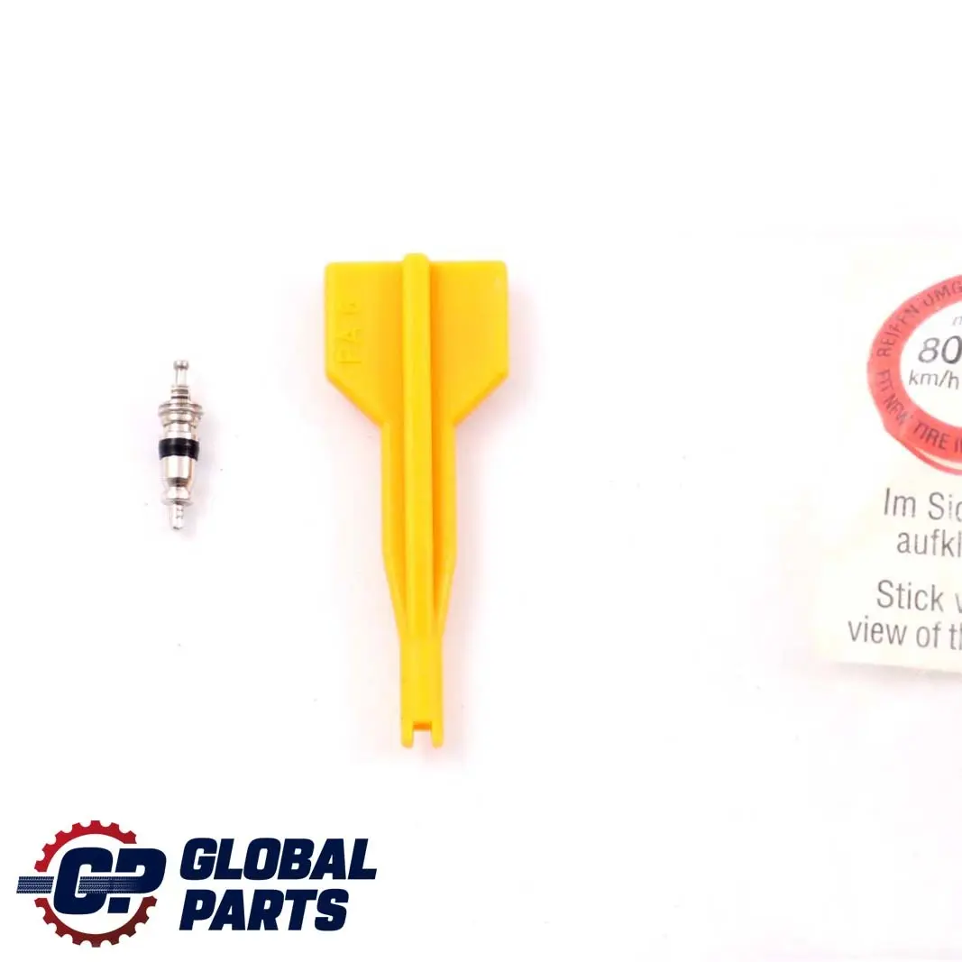 BMW E60 E65 E87 E90 F10 F20 F21 F30 Tyre Sealant Sealer - SKU P0415040 - Part number 0415040