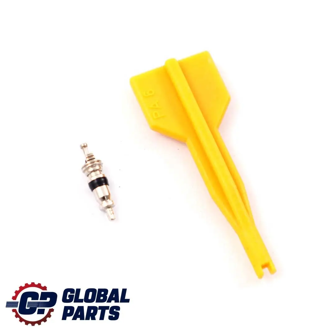 Tyre Sealant Sealer to BMW E60 E65 E87 E90 F10 F20 F21 F30 with Part number 0415040 BMW E60 E65 E87 E90 F10 F20 F21 F30 Tyre Sealant Sealer - SKU P0415040 - Part number 0415040