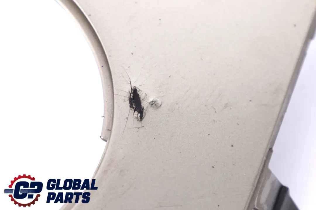 BMW Mini Cooper 1 R55 R56 R57 Front Bumper Trim Panel Left N/S Sparkling Silver - SKU P0430225-SS1 - Part number 0430225