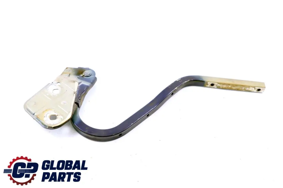 Mini Cooper One R50 R53 Charniere Rabat a Gauche Black-Eye Violet A24 - SKU P0598828-PUR - Numéro de pièce 0598828