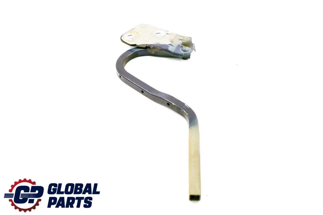 Mini Cooper One R50 R53 Charniere Rabat a Gauche Black-Eye Violet A24 - SKU P0598828-PUR - Numéro de pièce 0598828