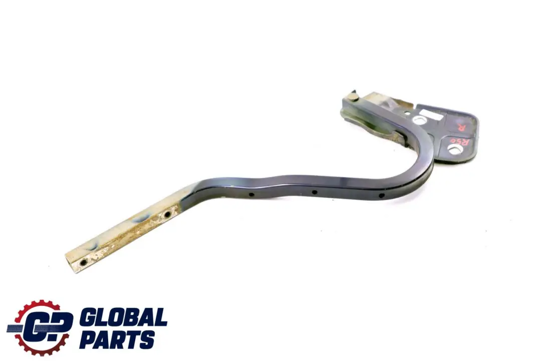 Mini Cooper One R50 R53 Charniere Rabat a Gauche Black-Eye Violet A24 - SKU P0598828-PUR - Numéro de pièce 0598828