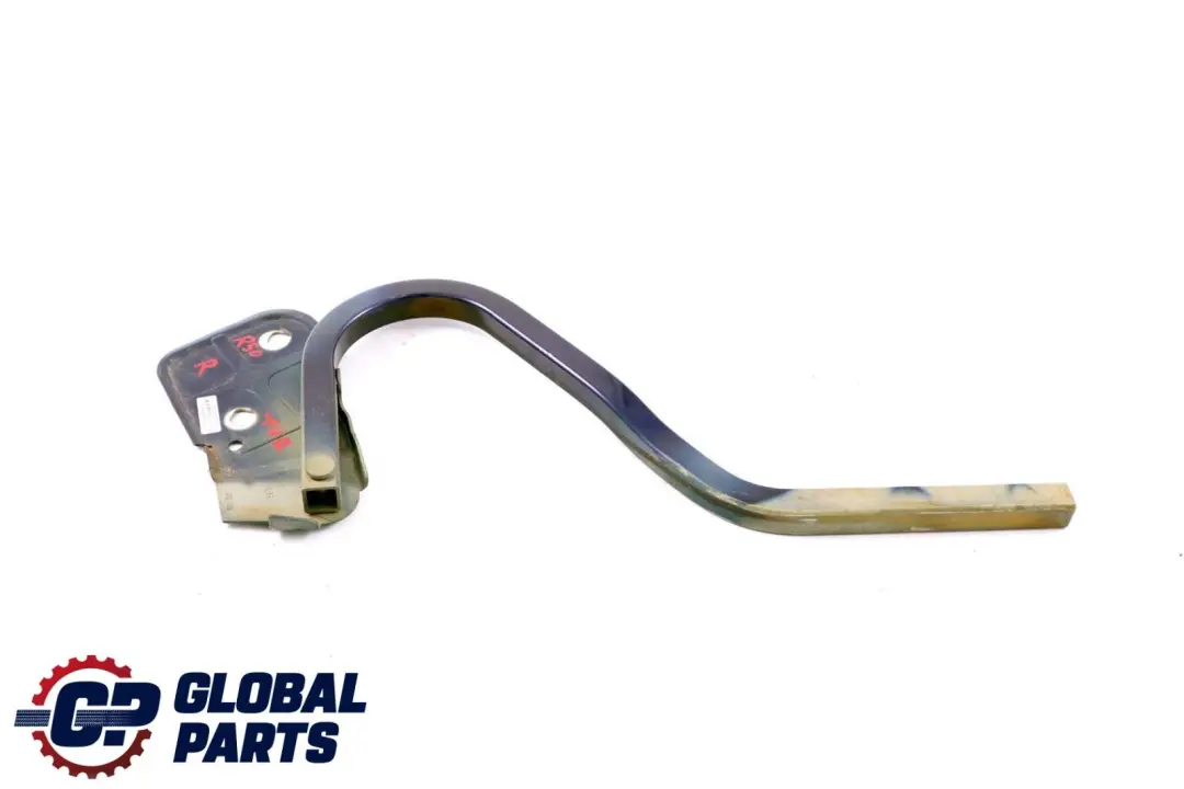 Mini Cooper One R50 R53 Charniere Rabat a Gauche Black-Eye Violet A24 - SKU P0598828-PUR - Numéro de pièce 0598828