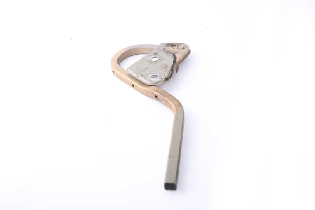 BMW Mini Cooper One R50 R52 R53 Scharnier Frontklappe Links Solid Gold - SKU P0598828-SDG - Teilenummer 0598828