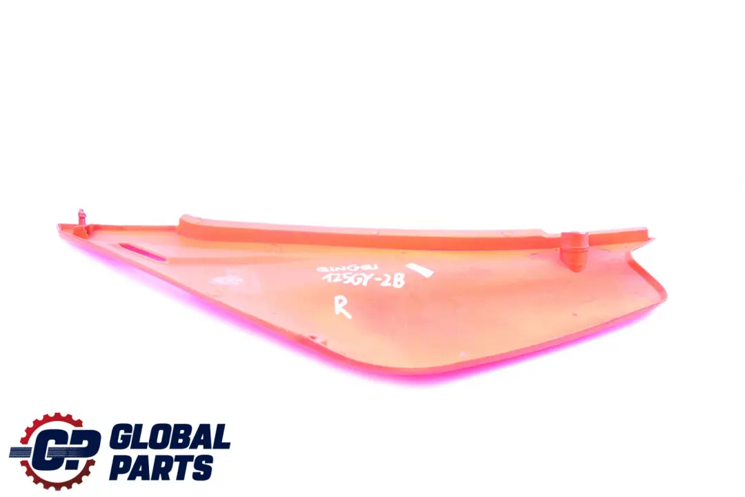  Qingqi QM 125 GY-2B ASD Right O/S Side Body Trim Panel Cover - SKU Qingqi QM 125 Side Panel Right - Part number Qingqi QM 125 Side Panel Right