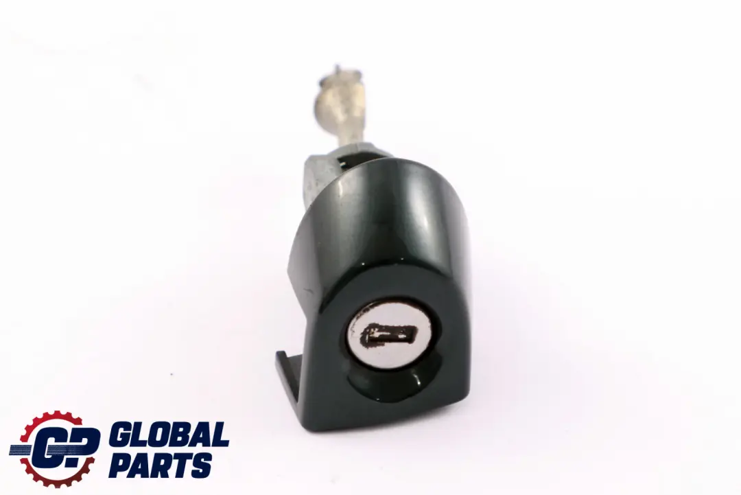BMW 3 er 1 E90 E91 E92 Griffbügel Lackiert Worne Rechts Tiefgruen Metallic - SKU rhd-0445182-TG - Teilenummer 0445182