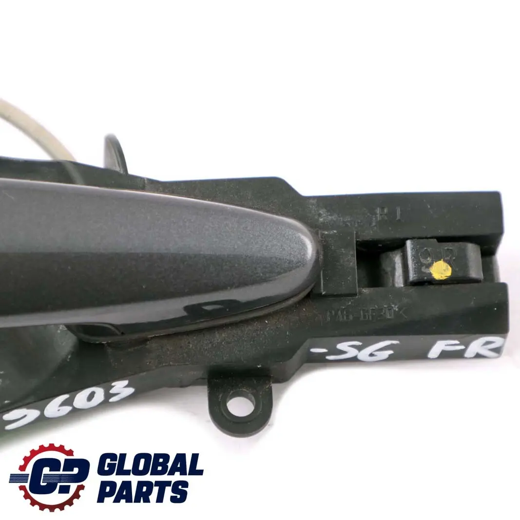 Complete Right Grab Handle O/S Sparkling Graphite Metallic to BMW 3 Series E92 E93 with Part number 7119603 BMW 3 Series E92 E93 Complete Right Grab Handle O/S Sparkling Graphite Metallic - SKU rhd-7119603-SG1 - Part number 7119603