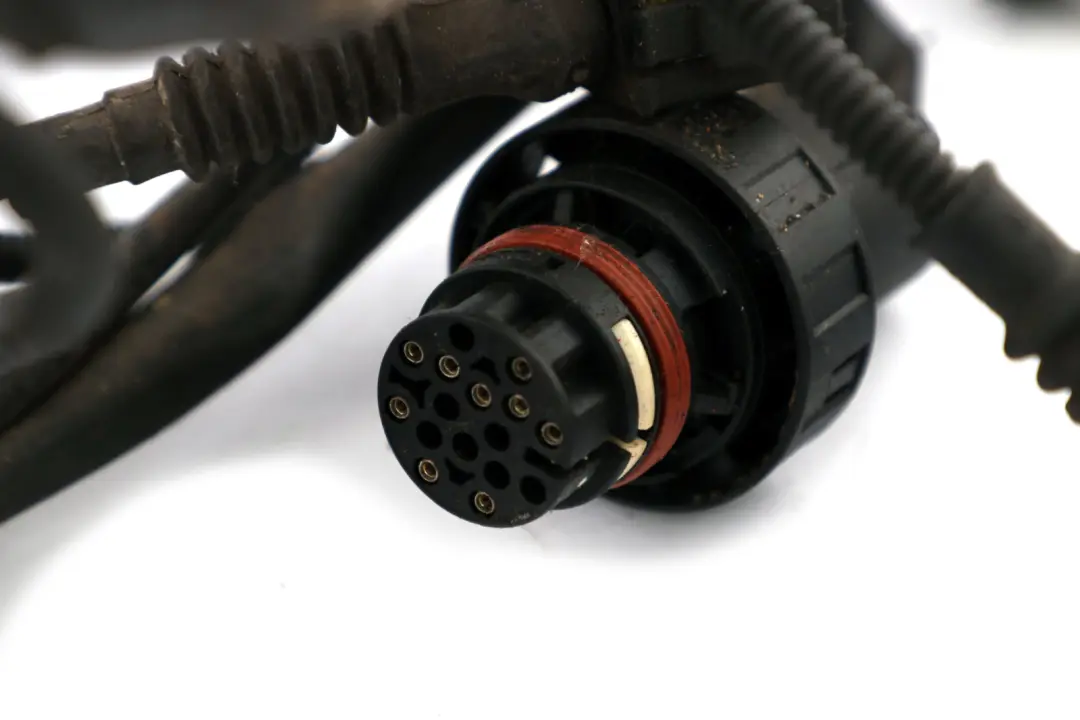 N62 Engine Wiring Loom Harness to BMW 7 Series E65 E66 735i 745i Petrol with Part number 7520804 BMW 7 Series E65 E66 735i 745i Petrol N62 Engine Wiring Loom Harness - SKU rhd-7520804 - Part number 7520804