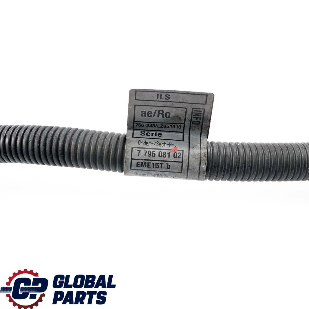 BMW E90 E92 330d 335d M57N2 Engine Injector Module Wiring Harness Cable - SKU rhd-7796081 - Part number 7796081