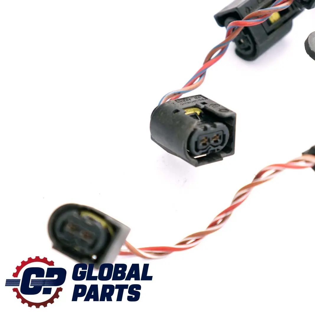 M47N2 Engine Injector Module Wiring Harness Cable to BMW 1 3 E87 E90 E91 with Part number 7796828 BMW 1 3 E87 E90 E91 M47N2 Engine Injector Module Wiring Harness Cable - SKU rhd-7796828 - Part number 7796828