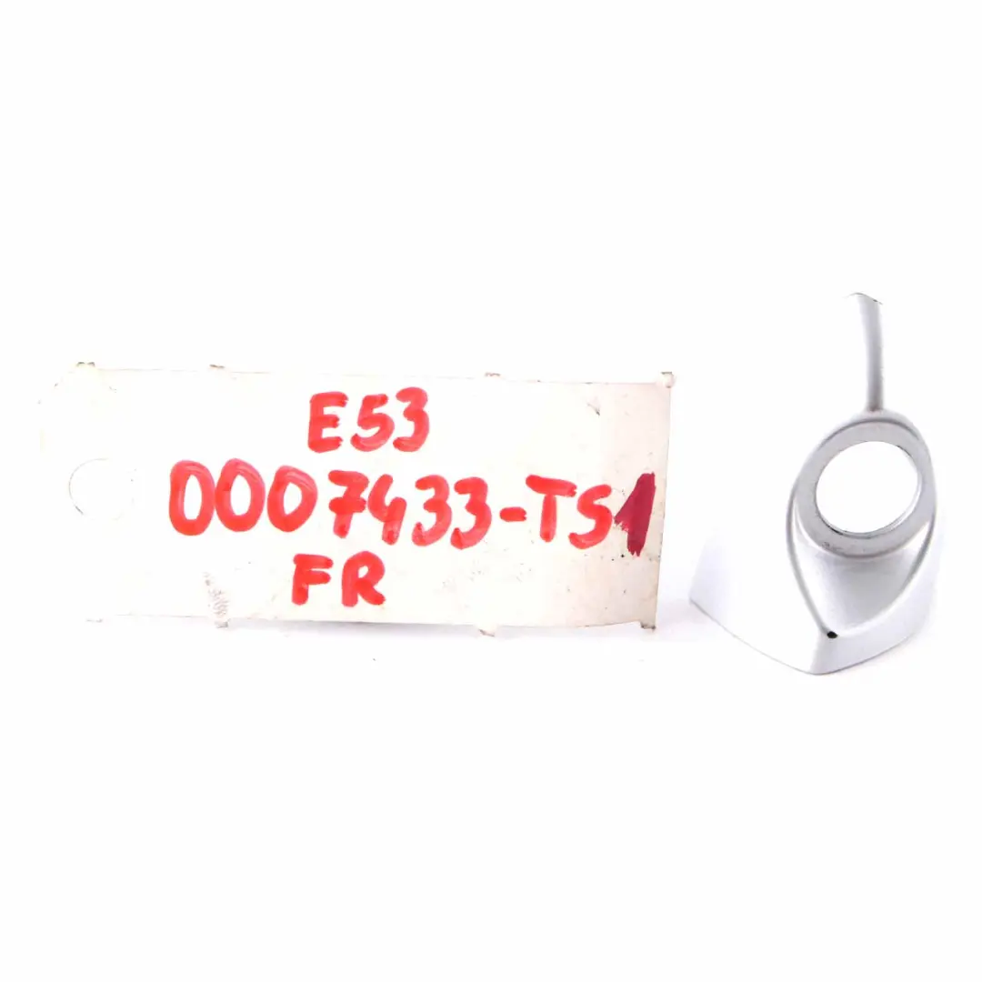 Handle Lock Cylinder Cover Front Right O/S Titansilber Silver - 354 to BMW X5 E53 with Part number 0007433 BMW X5 E53 Handle Lock Cylinder Cover Front Right O/S Titansilber Silver - 354 - SKU RHD-0007433-TS1 - Part number 0007433