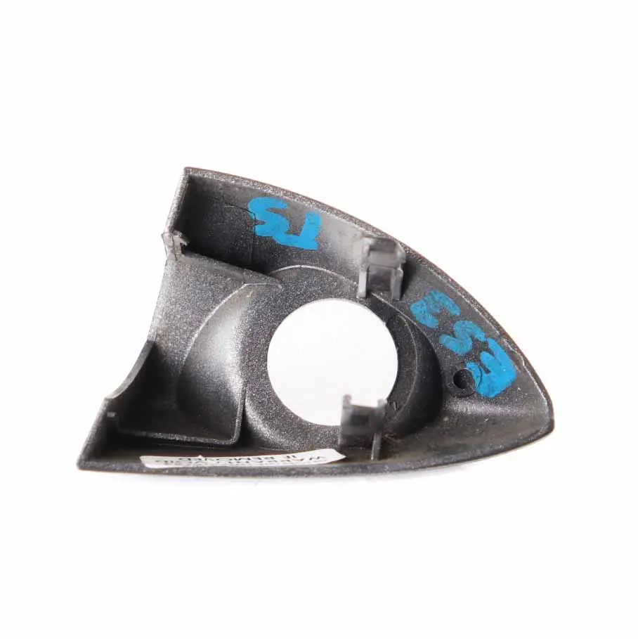 BMW X5 E53 Handle Lock Cylinder Cover Front Right O/S Titansilber Silver - 354 - SKU 0007433-TS1 - Part number 0007433