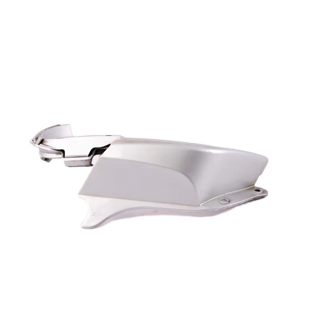 Frame Cover Light Rear Right O/S Titansilber Silver 7025642 to BMW Z4 Series E85 with Part number 0031018 BMW Z4 Series E85 Frame Cover Light Rear Right O/S Titansilber Silver 7025642 - SKU 0031018-TS1 - Part number 0031018