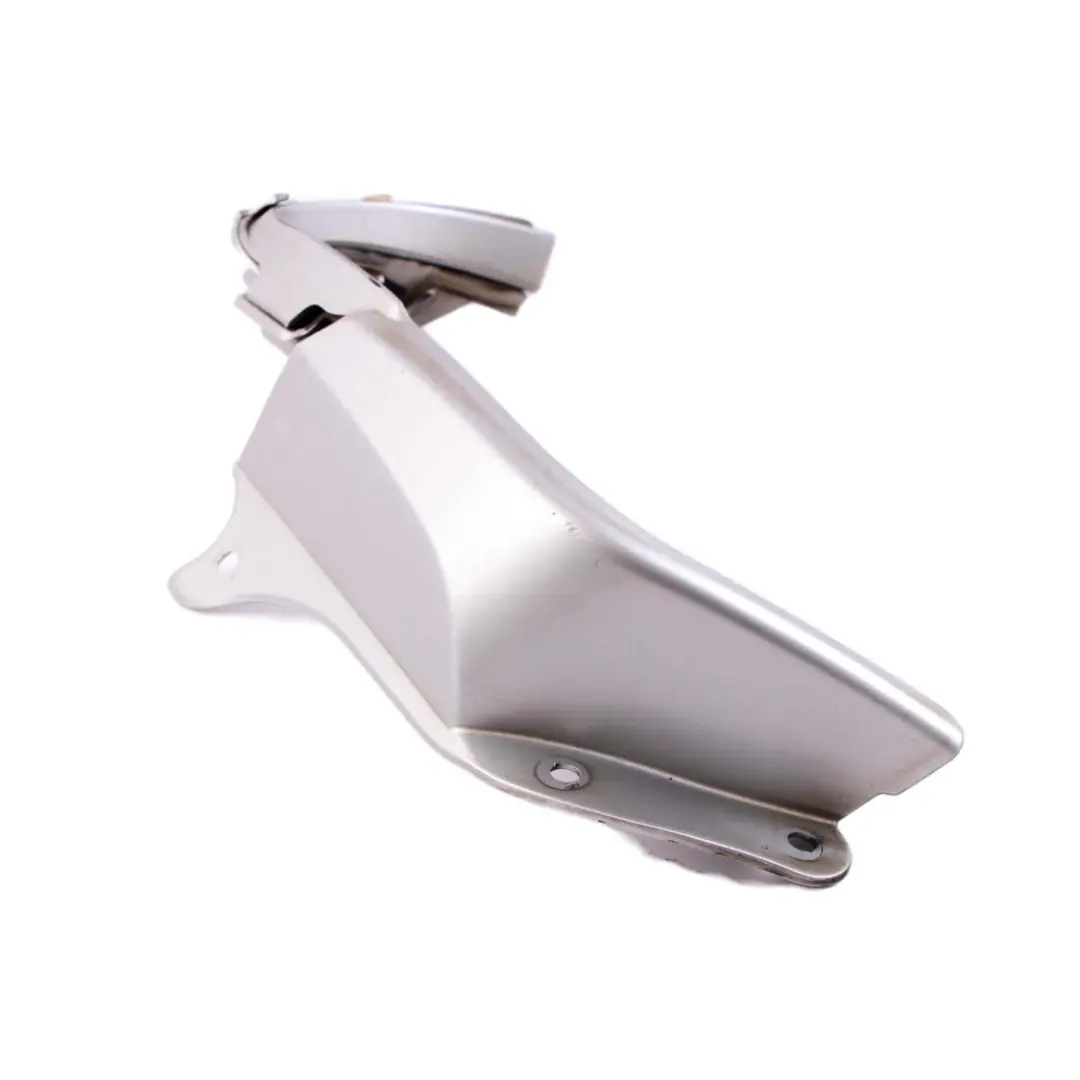 Frame Cover Light Rear Right O/S Titansilber Silver 7025642 to BMW Z4 Series E85 with Part number 0031018 BMW Z4 Series E85 Frame Cover Light Rear Right O/S Titansilber Silver 7025642 - SKU 0031018-TS1 - Part number 0031018