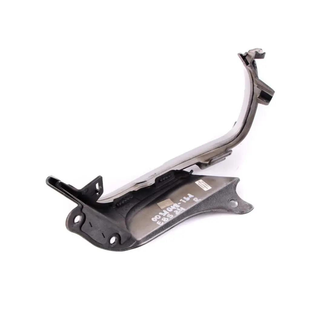 Frame Cover Light Rear Right O/S Titansilber Silver 7025642 to BMW Z4 Series E85 with Part number 0031018 BMW Z4 Series E85 Frame Cover Light Rear Right O/S Titansilber Silver 7025642 - SKU 0031018-TS1 - Part number 0031018