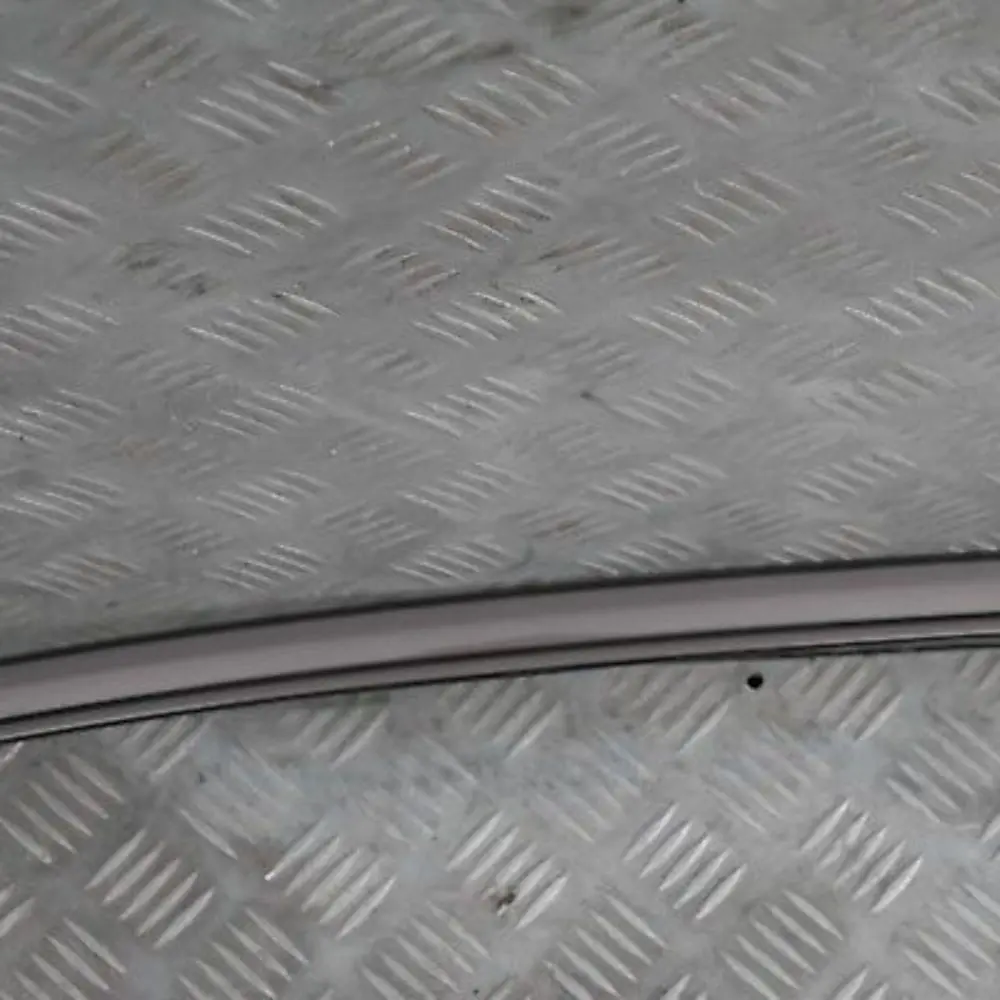 BMW E60 Left Roof Moulding Railing Gutter Rail N/S Amethystgrau Grey - SKU 0031141-AG - Part number 7070195