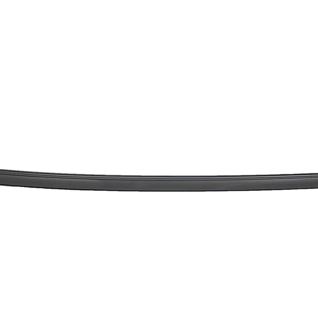 BMW 5 Series E60 Left Roof Moulding Railing Gutter N/S Spacegrau Grey - A52 - SKU 0031141-SCG - Part number 0031141